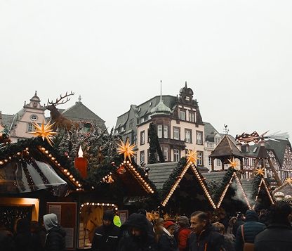 Festival and Seasonal Trips